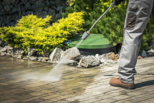 Animal Enclosure Cleaning in Chase, PA