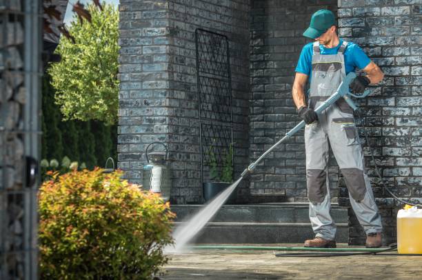 Animal Enclosure Cleaning in Chase, PA