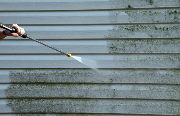 Solar Panel Cleaning in Chase, PA